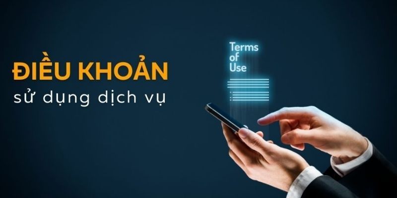 Nội dung đăng ký ở điều khoản tại N666