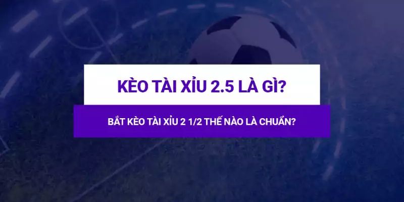 kèo tài xỉu 2.5